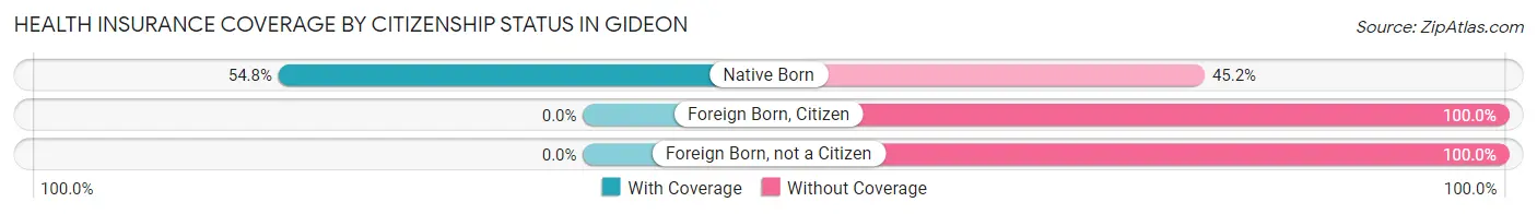 Health Insurance Coverage by Citizenship Status in Gideon
