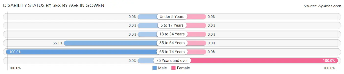 Disability Status by Sex by Age in Gowen