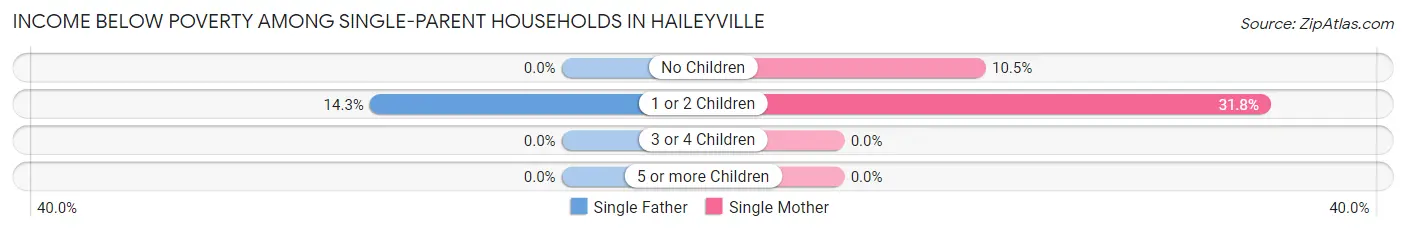 Income Below Poverty Among Single-Parent Households in Haileyville
