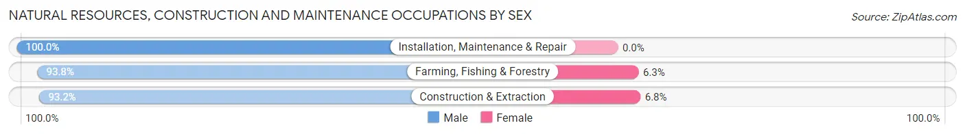 Natural Resources, Construction and Maintenance Occupations by Sex in Hinton