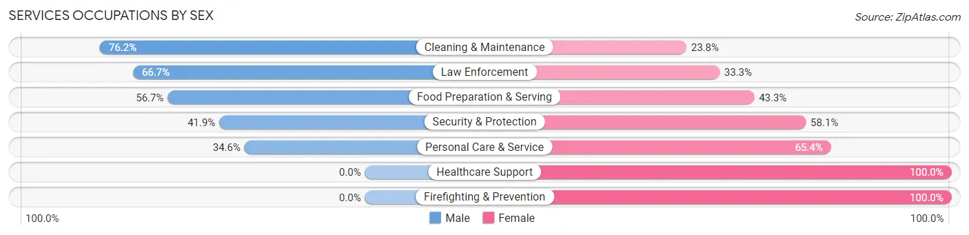 Services Occupations by Sex in Hinton