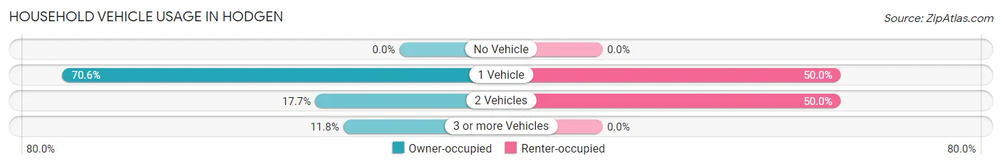 Household Vehicle Usage in Hodgen