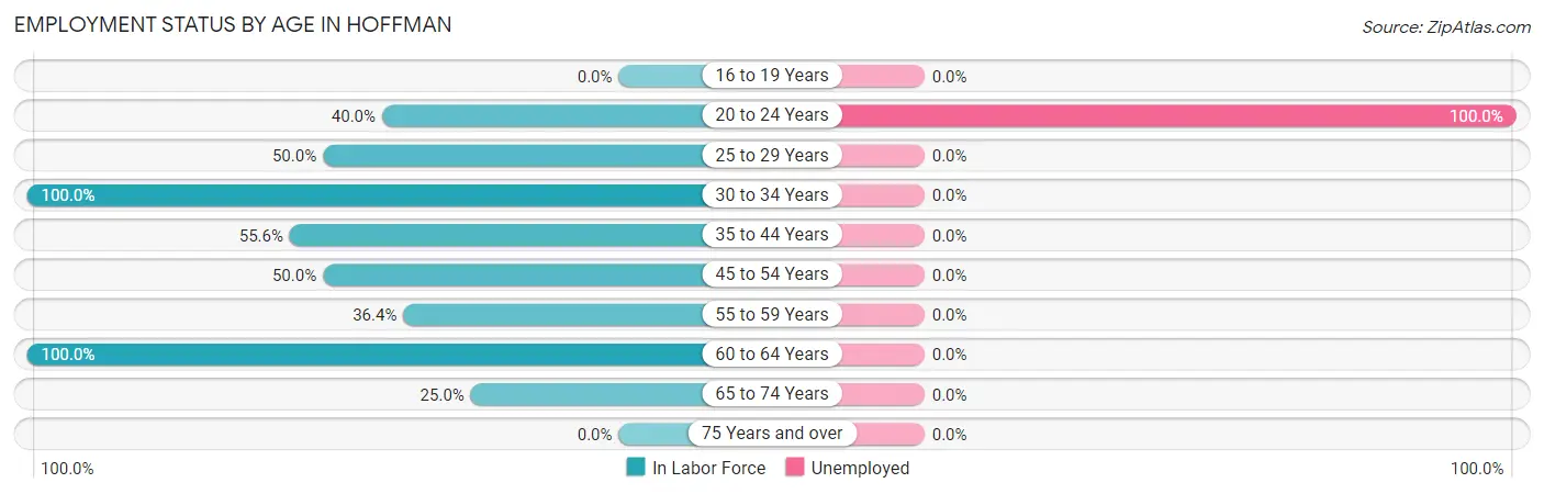 Employment Status by Age in Hoffman