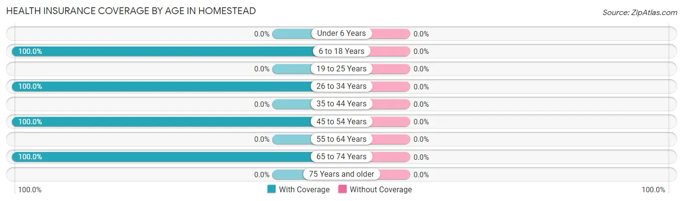 Health Insurance Coverage by Age in Homestead
