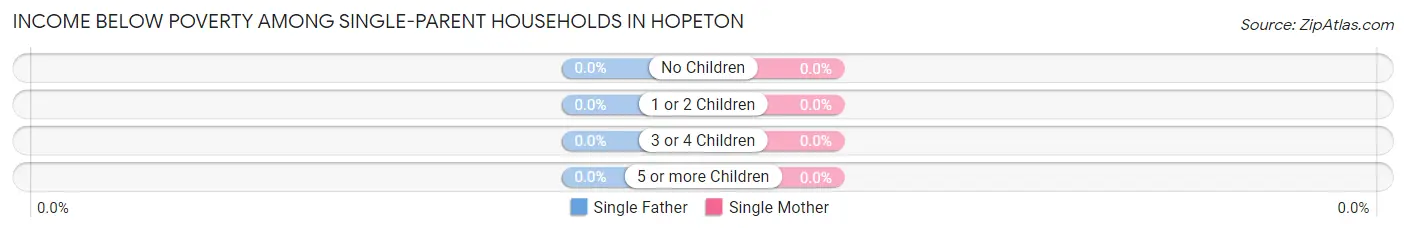 Income Below Poverty Among Single-Parent Households in Hopeton