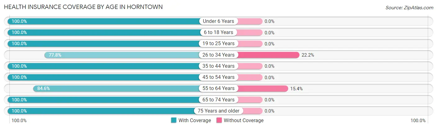 Health Insurance Coverage by Age in Horntown