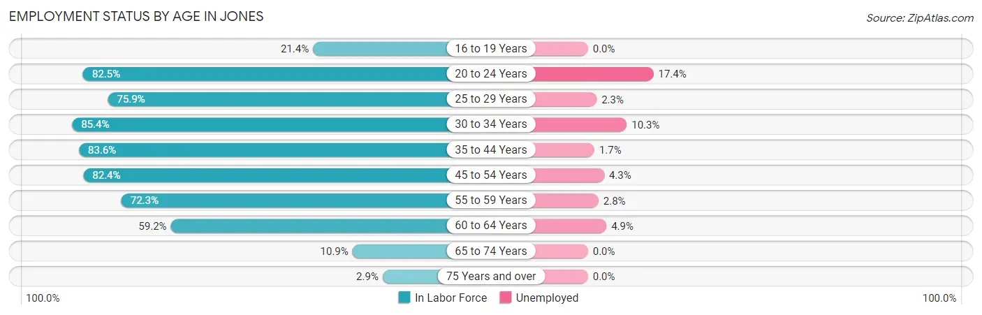 Employment Status by Age in Jones