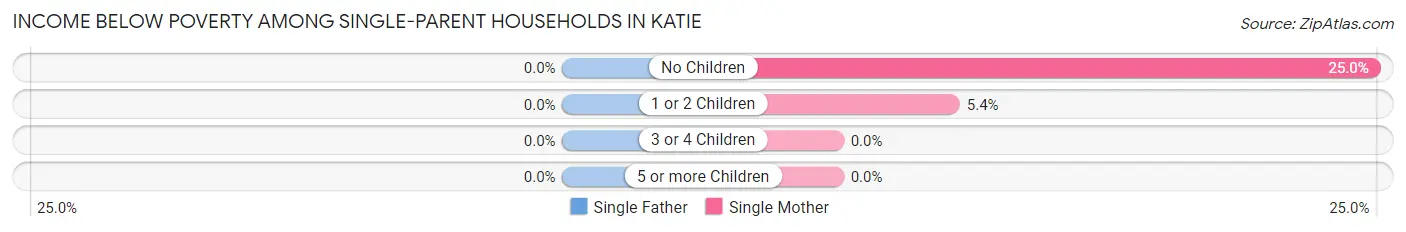 Income Below Poverty Among Single-Parent Households in Katie