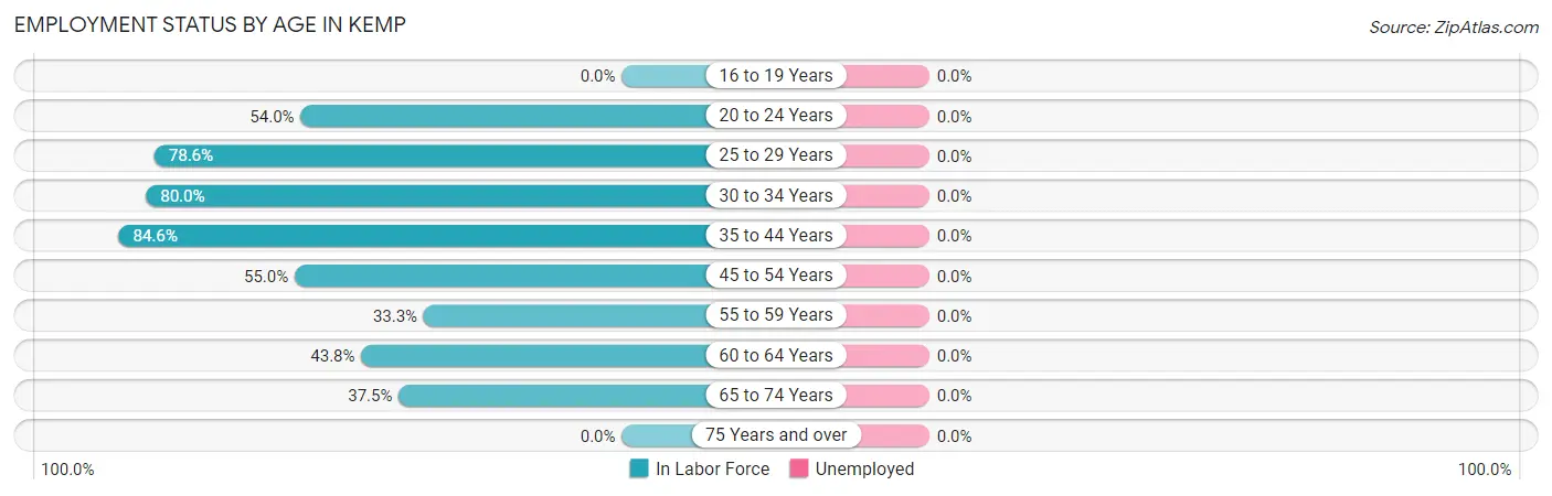 Employment Status by Age in Kemp