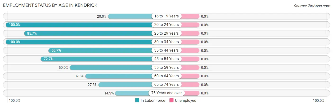 Employment Status by Age in Kendrick