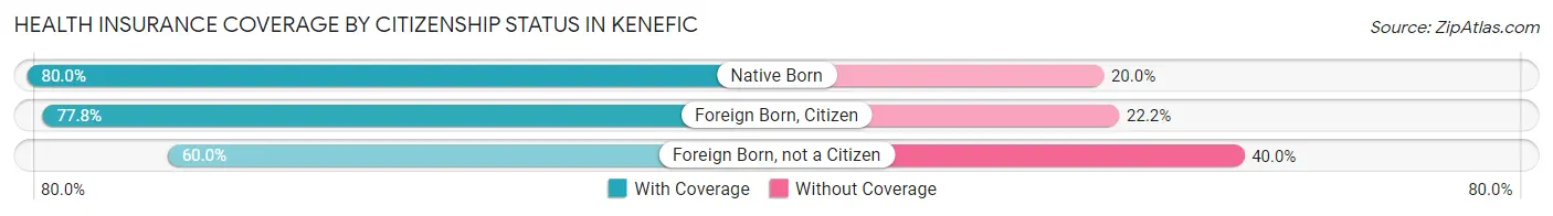 Health Insurance Coverage by Citizenship Status in Kenefic