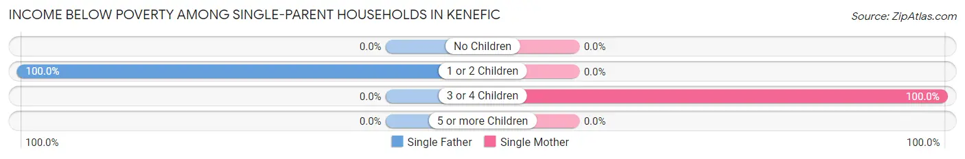 Income Below Poverty Among Single-Parent Households in Kenefic