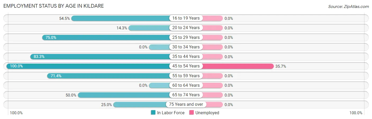 Employment Status by Age in Kildare