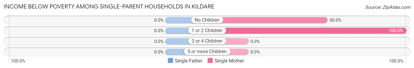 Income Below Poverty Among Single-Parent Households in Kildare