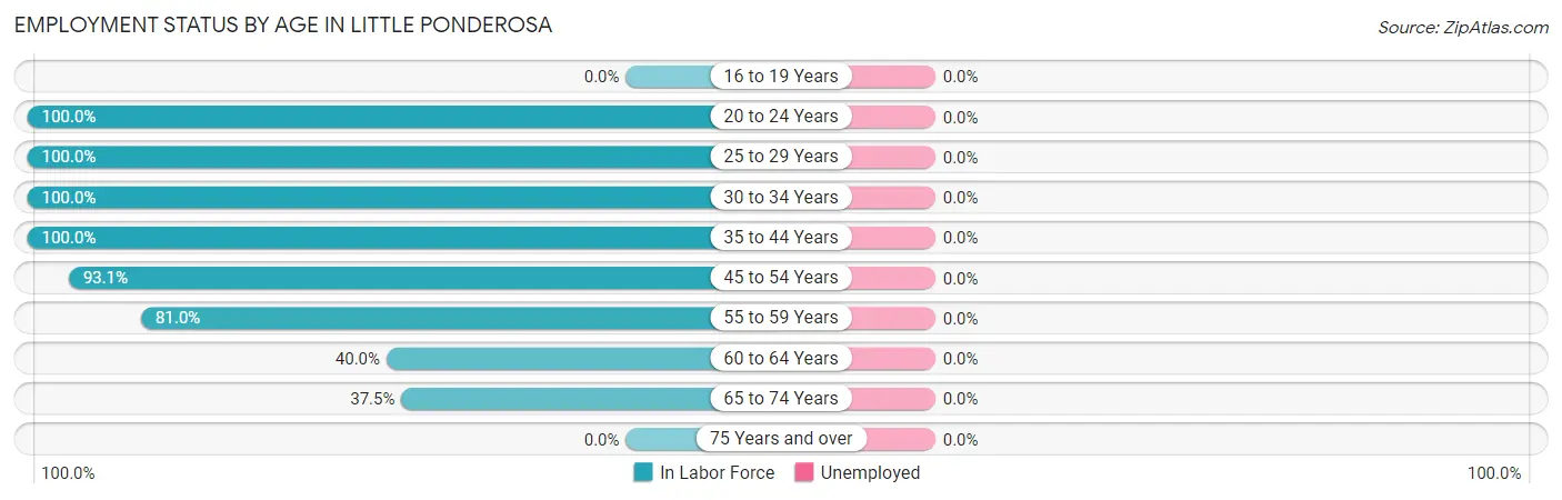 Employment Status by Age in Little Ponderosa