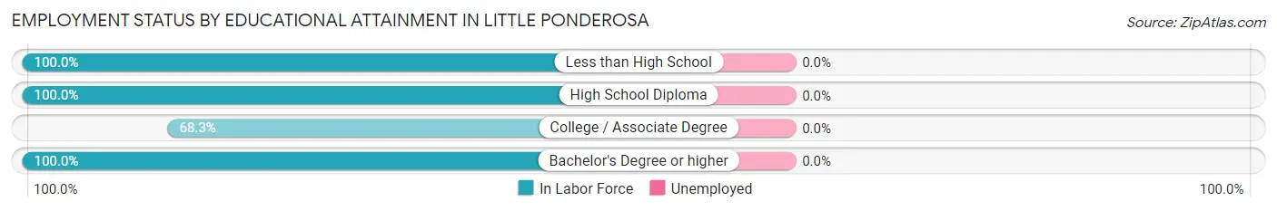 Employment Status by Educational Attainment in Little Ponderosa