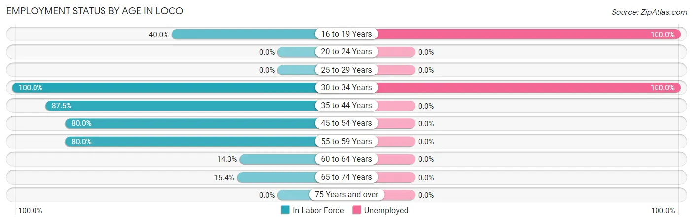 Employment Status by Age in Loco
