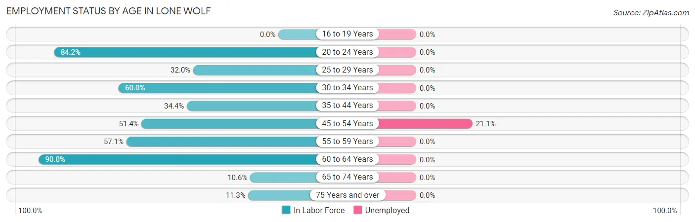 Employment Status by Age in Lone Wolf