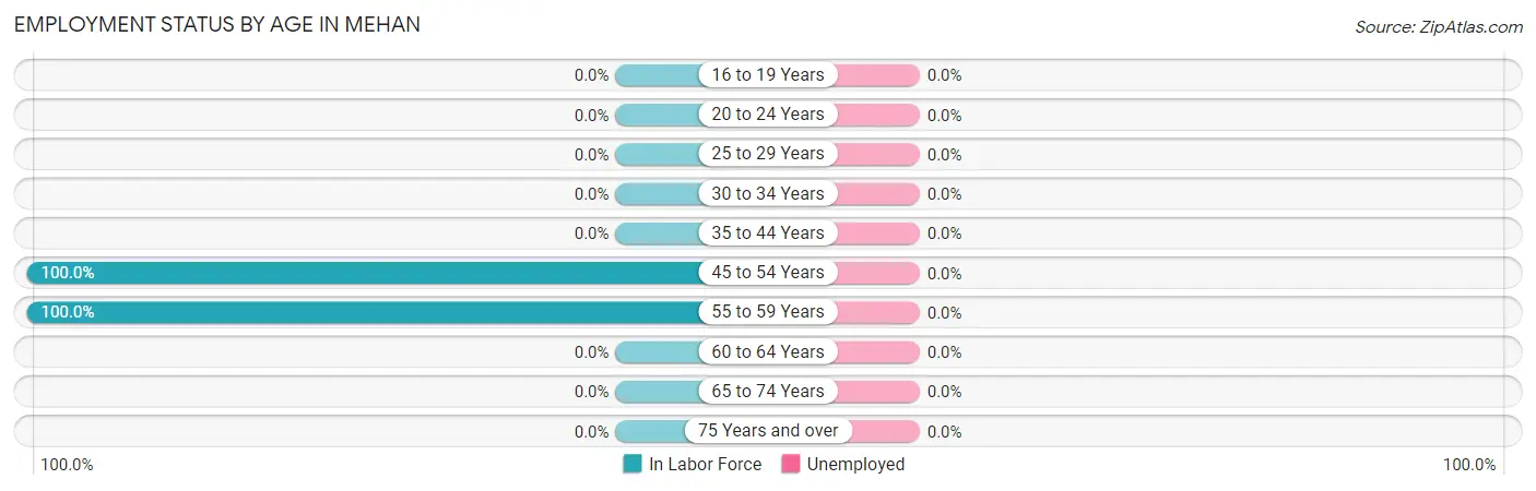 Employment Status by Age in Mehan