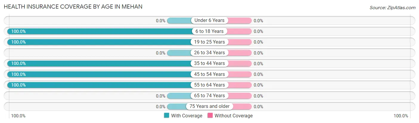 Health Insurance Coverage by Age in Mehan