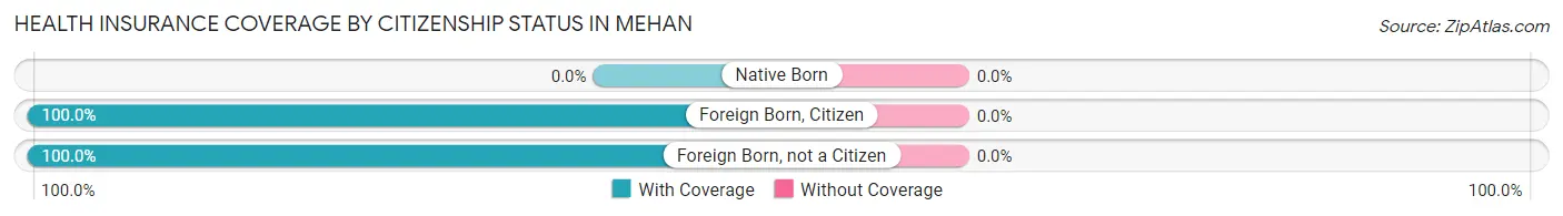 Health Insurance Coverage by Citizenship Status in Mehan
