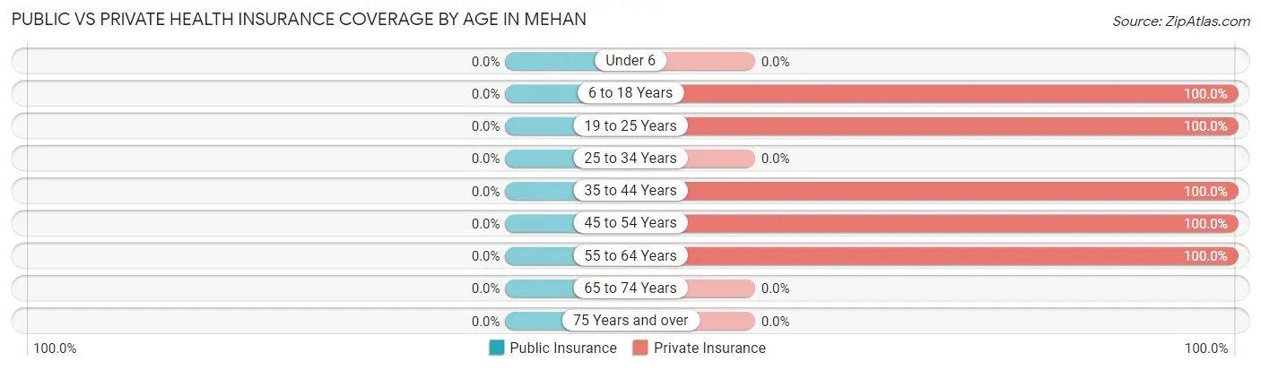 Public vs Private Health Insurance Coverage by Age in Mehan