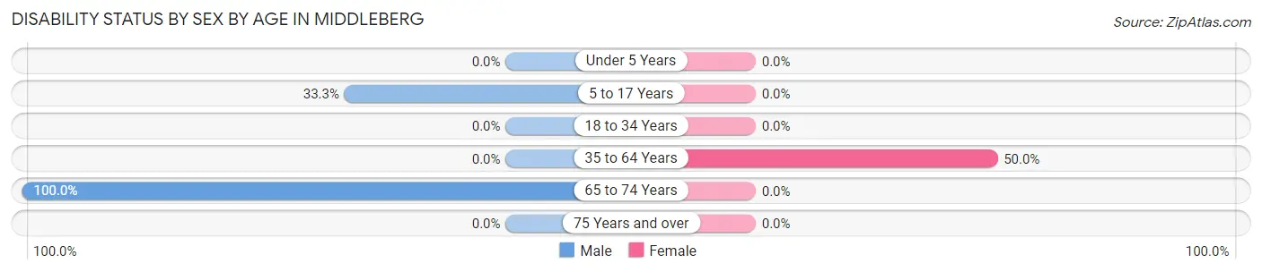 Disability Status by Sex by Age in Middleberg