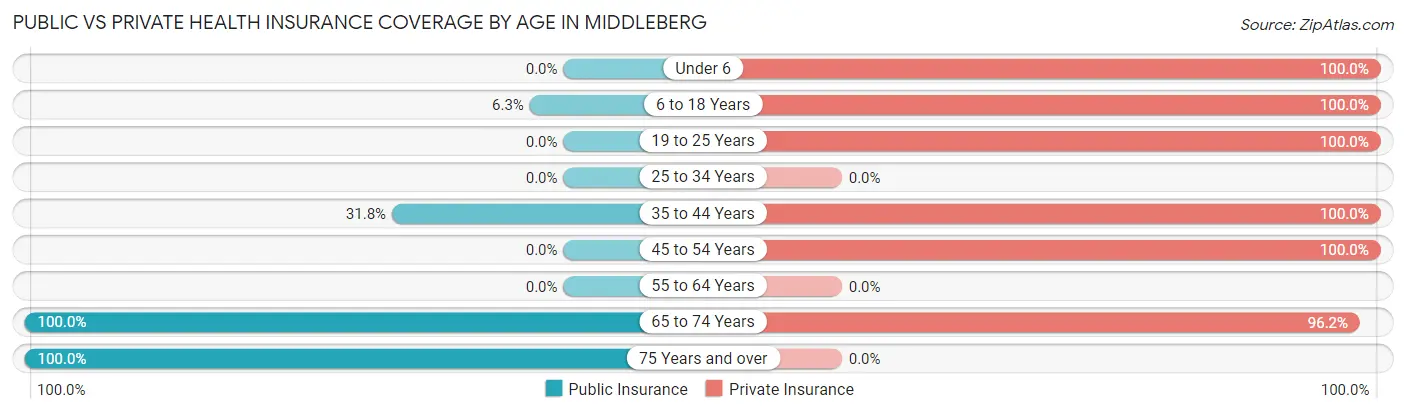 Public vs Private Health Insurance Coverage by Age in Middleberg