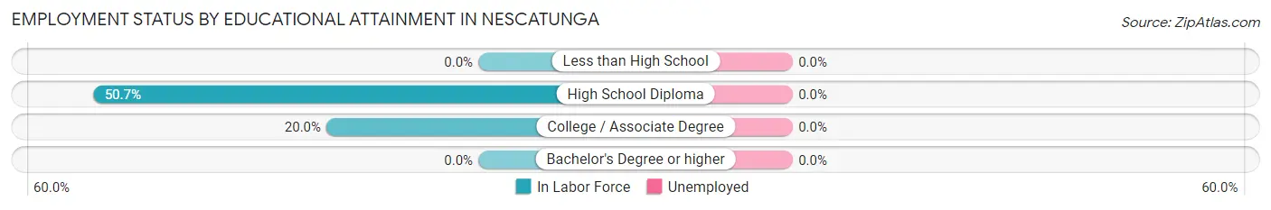 Employment Status by Educational Attainment in Nescatunga