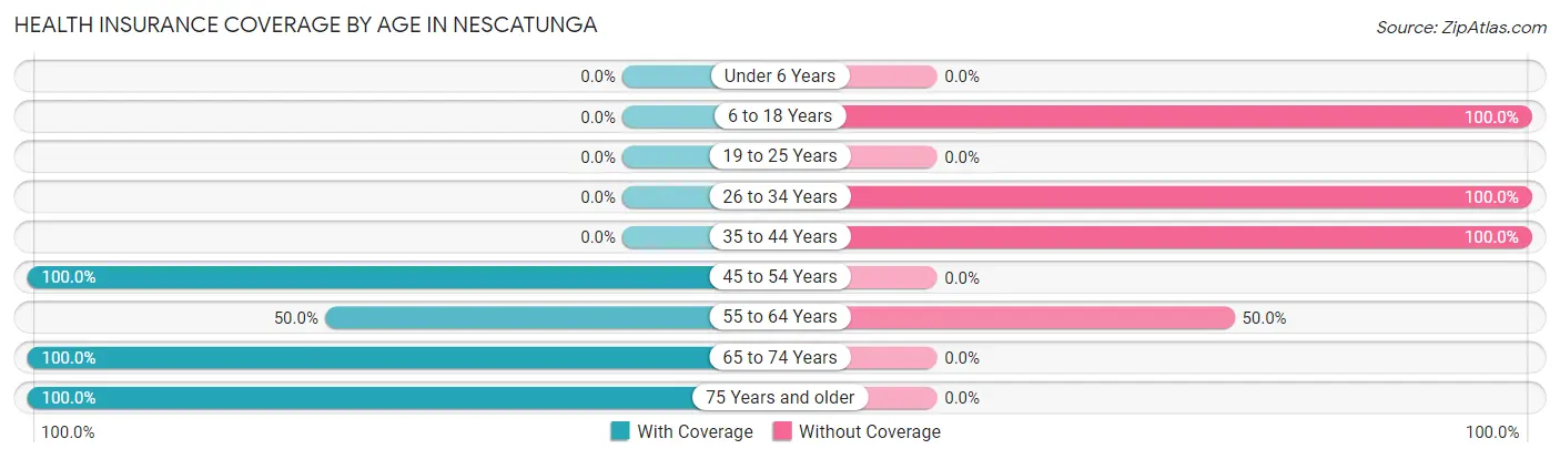 Health Insurance Coverage by Age in Nescatunga