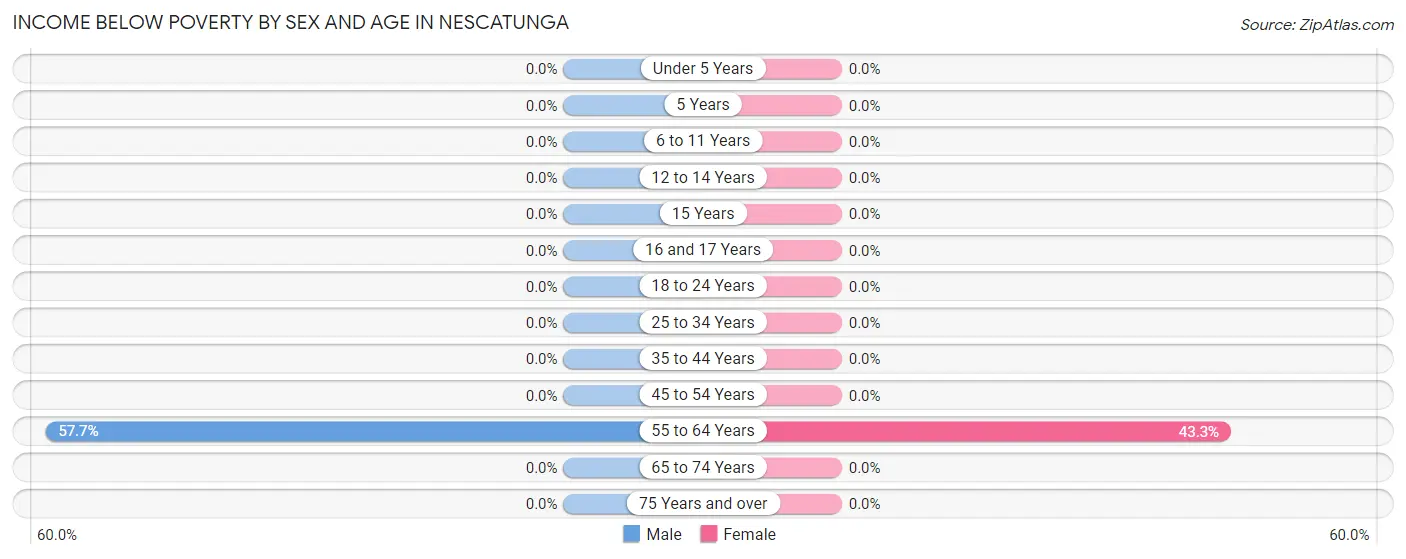 Income Below Poverty by Sex and Age in Nescatunga