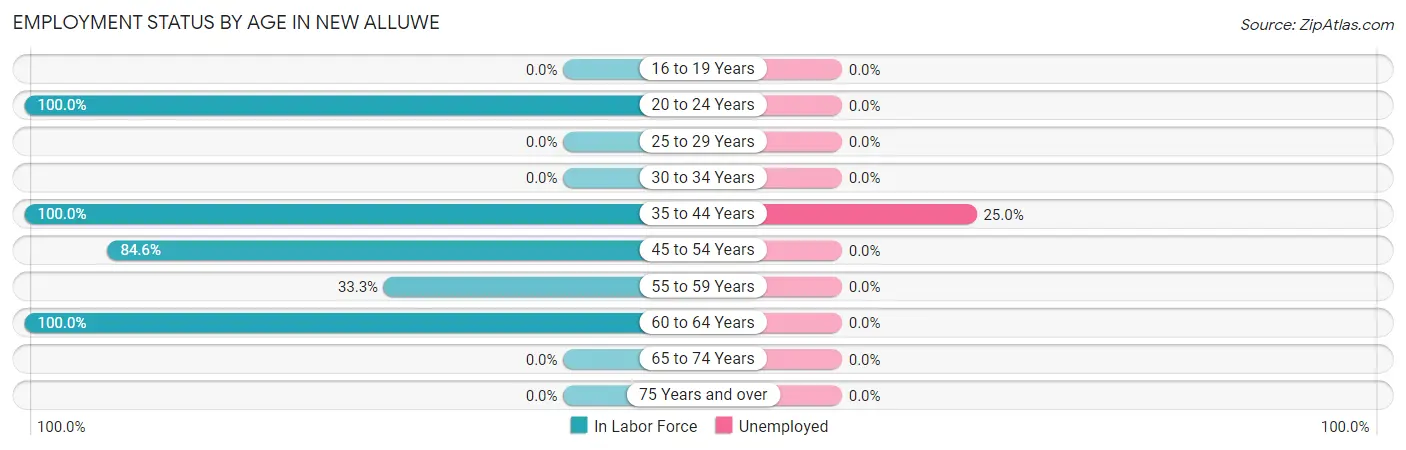 Employment Status by Age in New Alluwe
