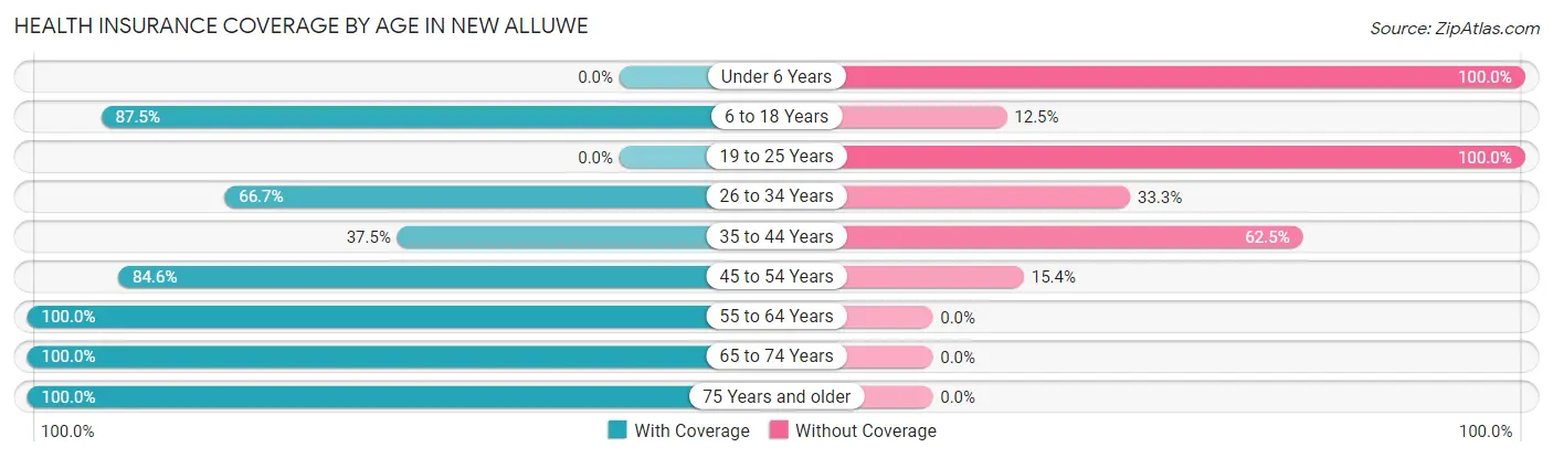 Health Insurance Coverage by Age in New Alluwe