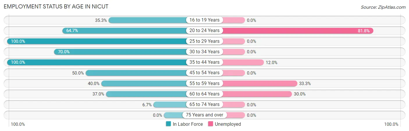 Employment Status by Age in Nicut