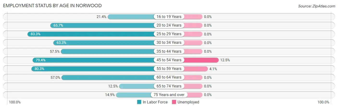 Employment Status by Age in Norwood