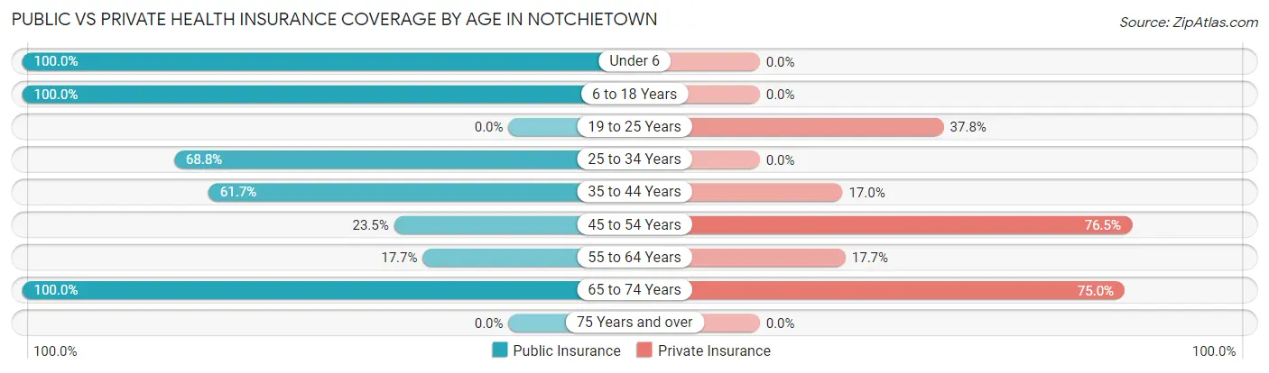 Public vs Private Health Insurance Coverage by Age in Notchietown