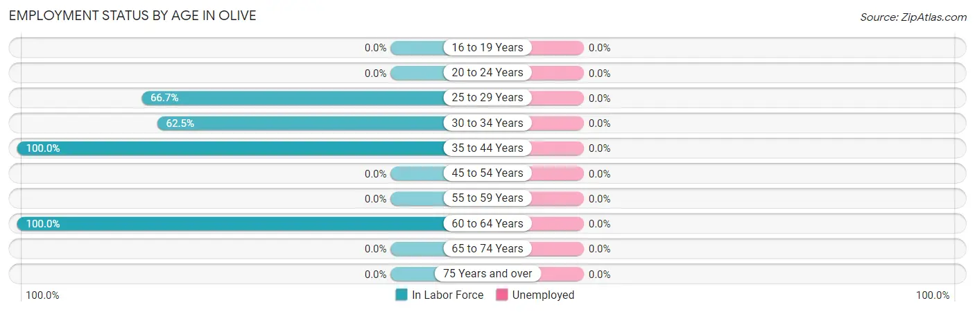 Employment Status by Age in Olive