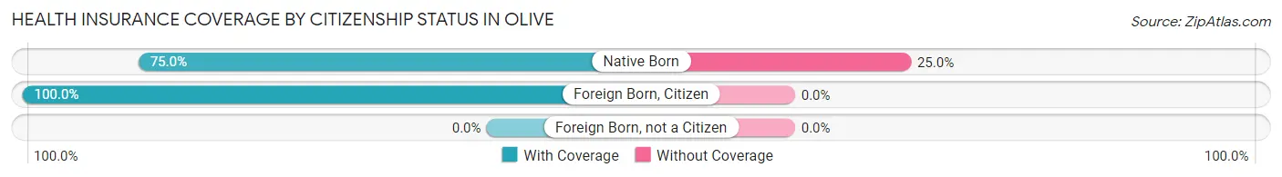 Health Insurance Coverage by Citizenship Status in Olive