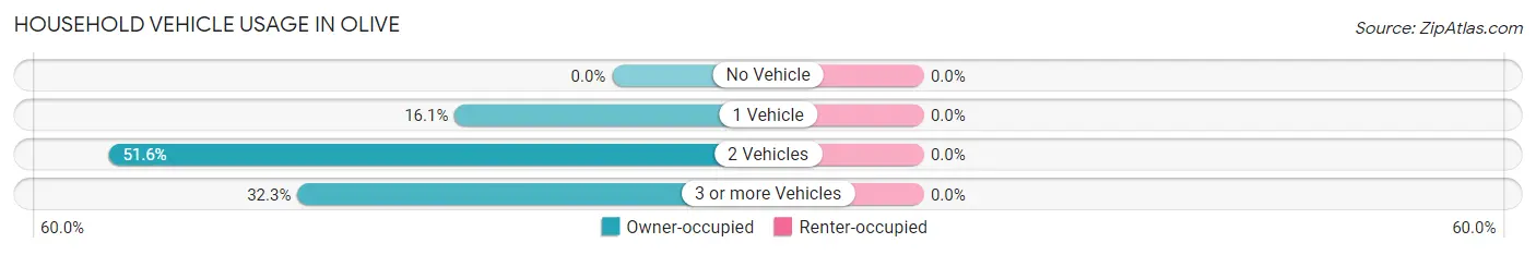 Household Vehicle Usage in Olive