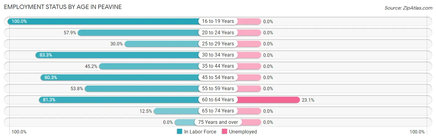 Employment Status by Age in Peavine