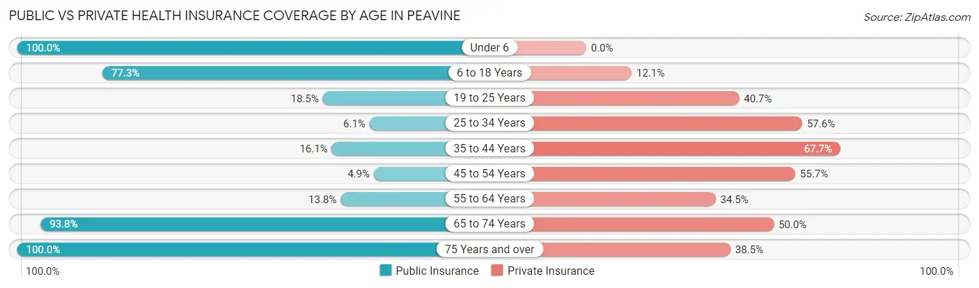Public vs Private Health Insurance Coverage by Age in Peavine