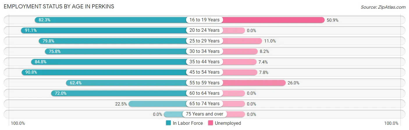 Employment Status by Age in Perkins