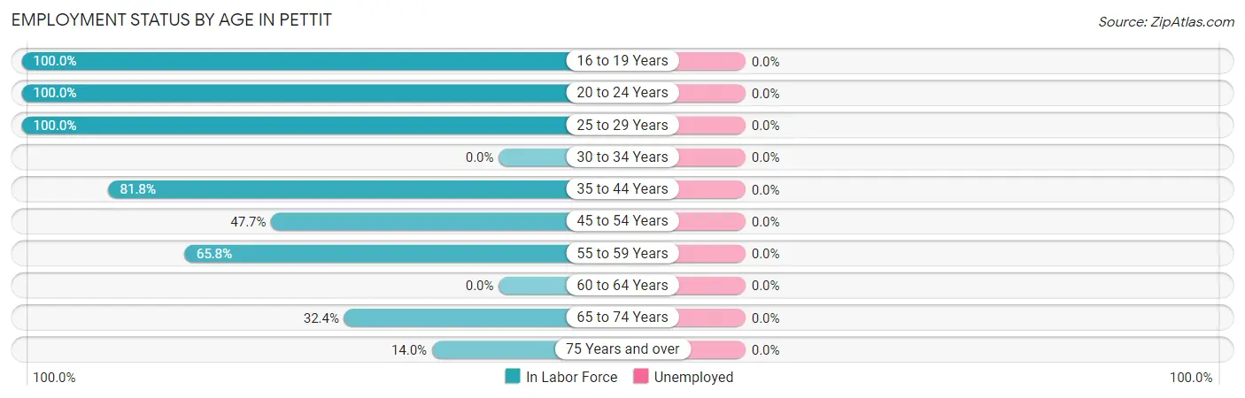 Employment Status by Age in Pettit