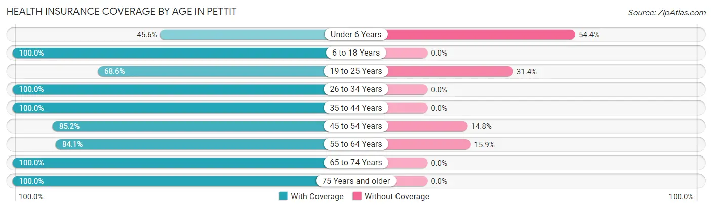 Health Insurance Coverage by Age in Pettit