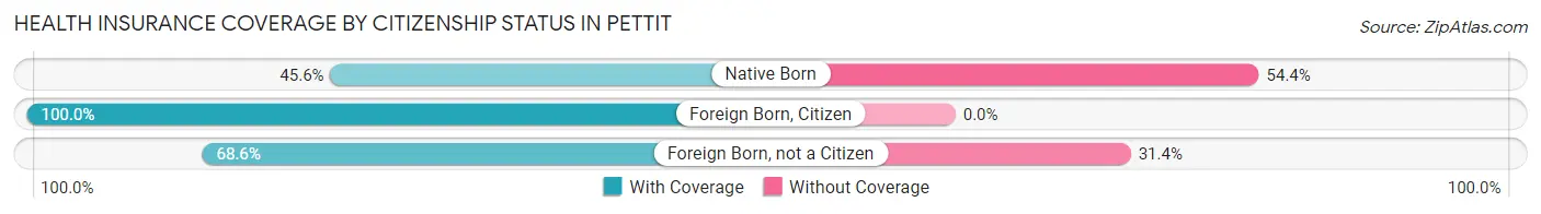Health Insurance Coverage by Citizenship Status in Pettit