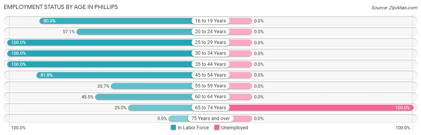 Employment Status by Age in Phillips