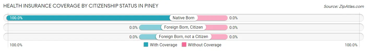 Health Insurance Coverage by Citizenship Status in Piney