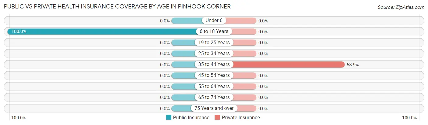 Public vs Private Health Insurance Coverage by Age in Pinhook Corner