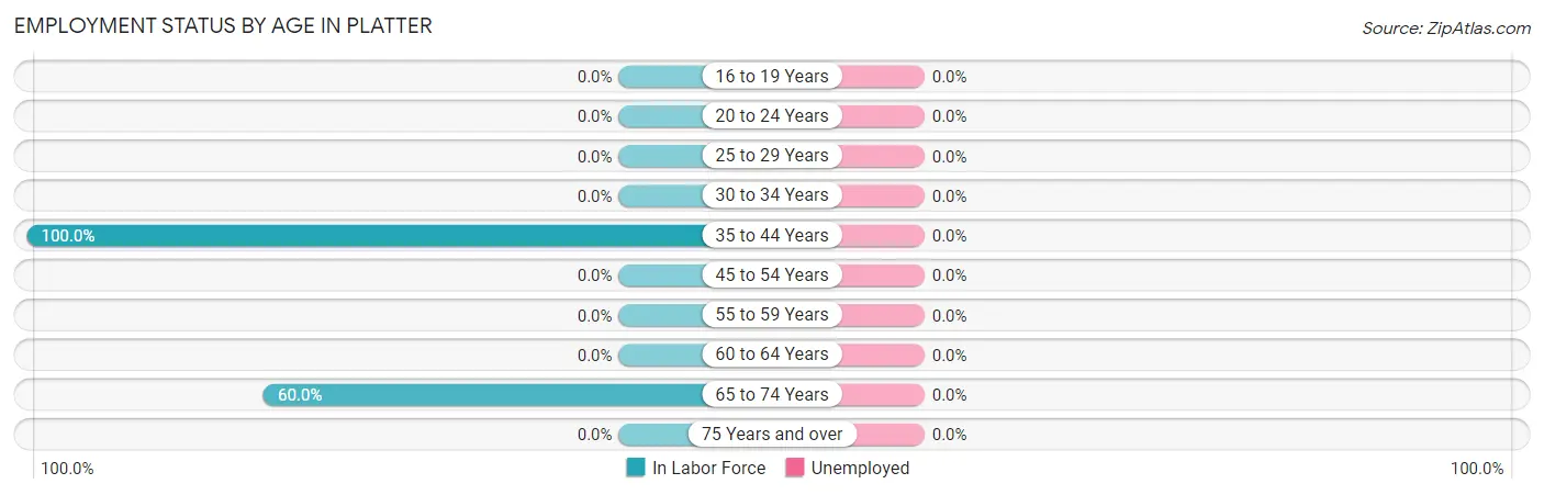 Employment Status by Age in Platter
