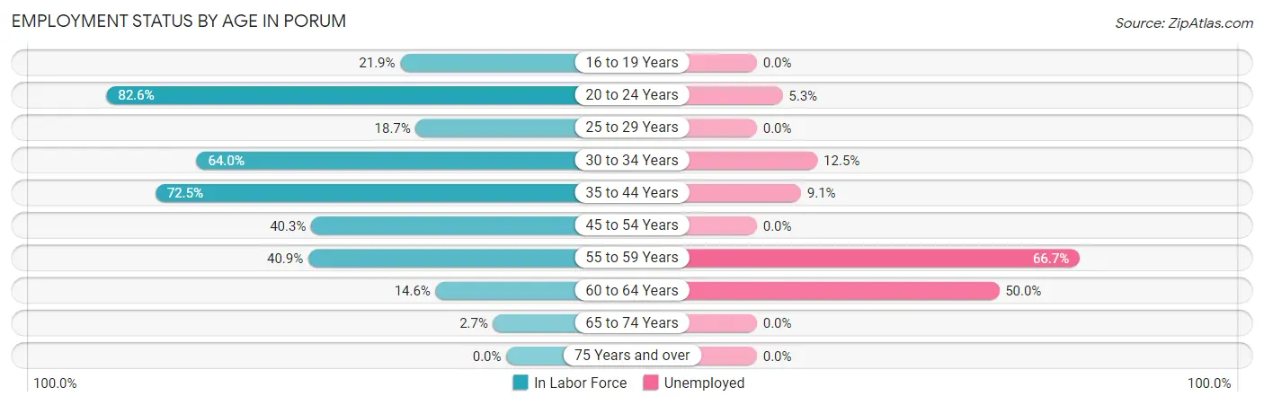 Employment Status by Age in Porum